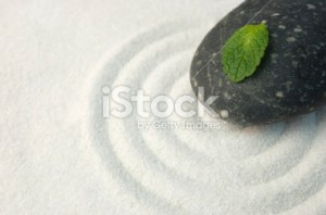 stock-photo-5109533-zen-garden-with-green-leaf