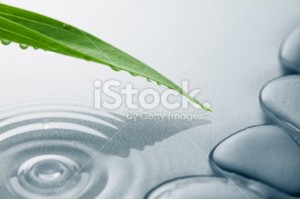 stock-photo-8589086-green-leaf-with-waterdrop-and-ripples